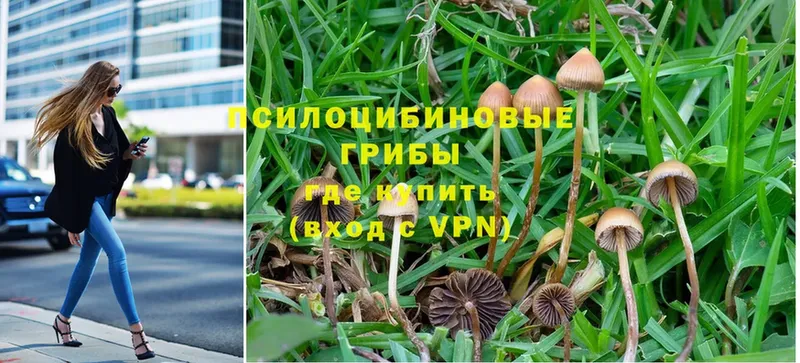 Псилоцибиновые грибы MAGIC MUSHROOMS  Макарьев 